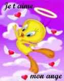 jtm mn ange